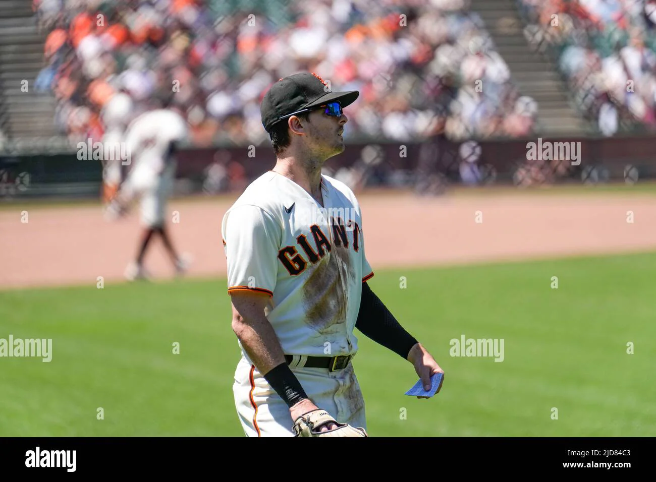 San Francisco Giants Outfielder Mike Yastrzemski (5) during an MLB game ...